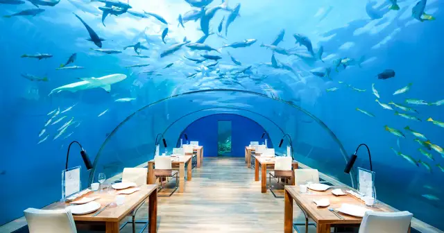 Kiedy najlepiej jechać do Japonii, aby uniknąć tłumów i cieszyć się pięknem natury