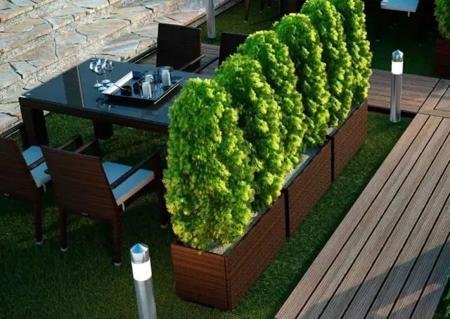 Jak osłonić taras od drogi i cieszyć się prywatnością i komfortem