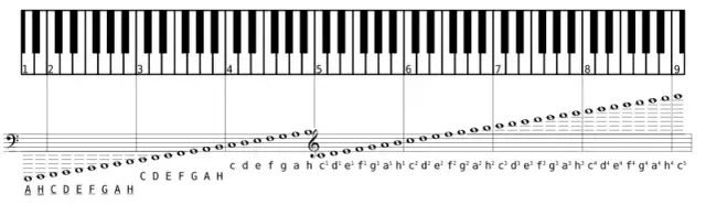 Oktawa w muzyce: ile półtonów zawiera i jak ją rozpoznać - poradnik