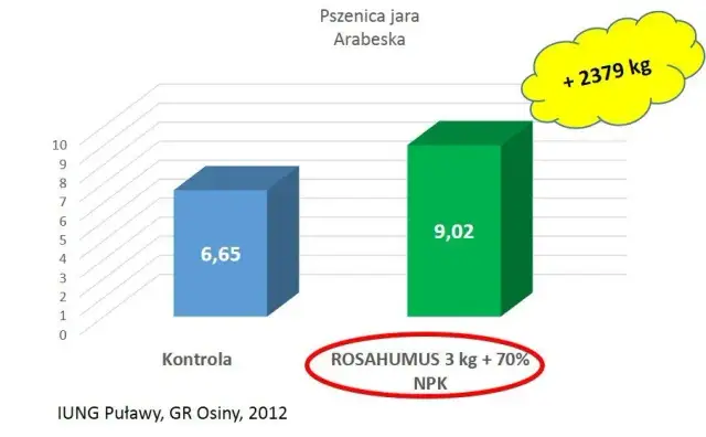 Jak uzupełnić fosfor w glebie, aby poprawić zdrowie roślin?