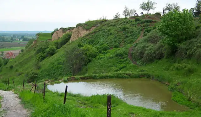 Najciekawsze atrakcje w Unisławiu, które musisz zobaczyć