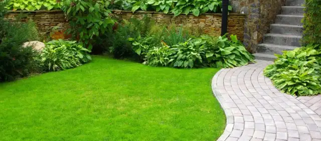 Z czego zrobić ścieżki w ogrodzie: 8 najlepszych materiałów i technik układania