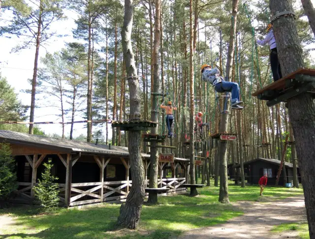 Ile kosztuje budowa parku linowego? Zaskakujące wydatki, które musisz znać!