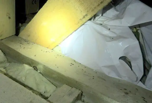 Jak myszy wchodzą na strych? Sposoby i metody zapobiegania ich wejściu