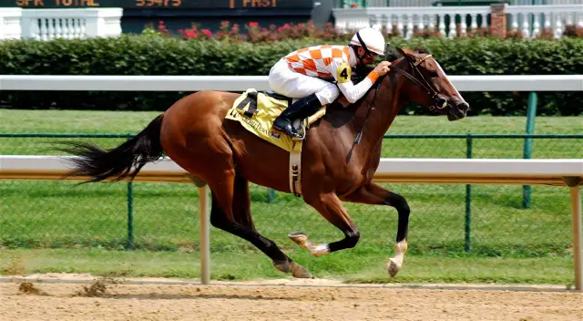 Jeździectwo na igrzyskach olimpijskich: wszystko, co musisz wiedzieć