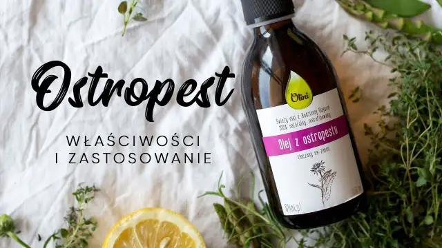 Jak prawidłowo zażywać olej z ostropestu? Dawkowanie, korzyści i przeciwwskazania
