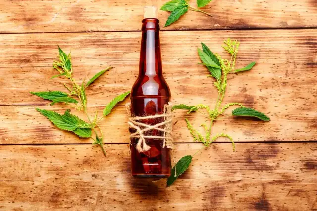 Nalewka z pokrzywy na co pomaga - odkryj jej niezwykłe właściwości zdrowotne