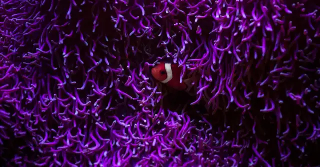 Systemy wodne w filmach SF: Fantazja czy przyszłość?