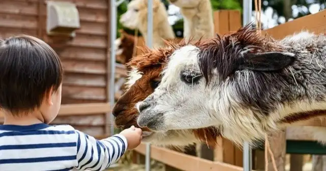 Gdzie na weekend z dzieckiem w Małopolsce? Odkryj najlepsze atrakcje