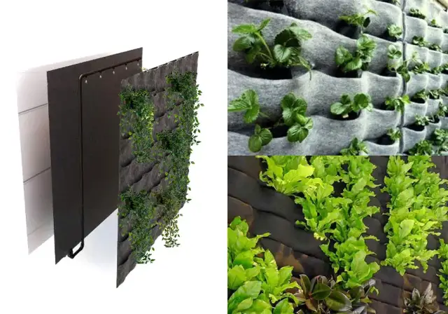 Jak samodzielnie zrobić zieloną ścianę w salonie – krok po kroku bez błędów