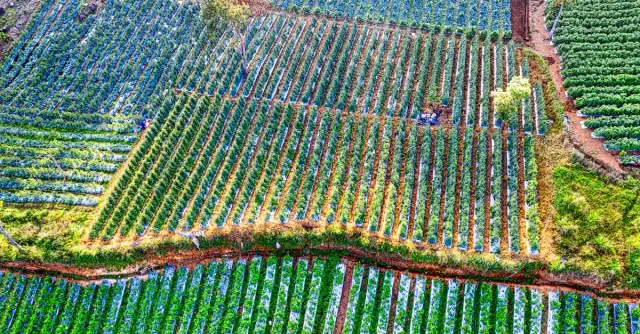 Najciekawsze gry w gatunku symulator chodzenia, które warto sprawdzić