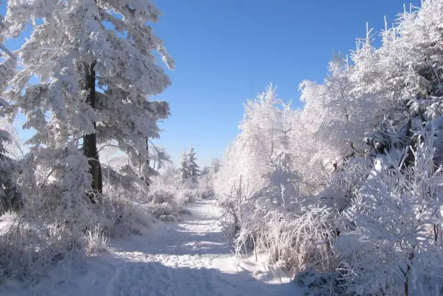 Szadź jako zjawisko atmosferyczne - poznaj fascynujący proces powstawania