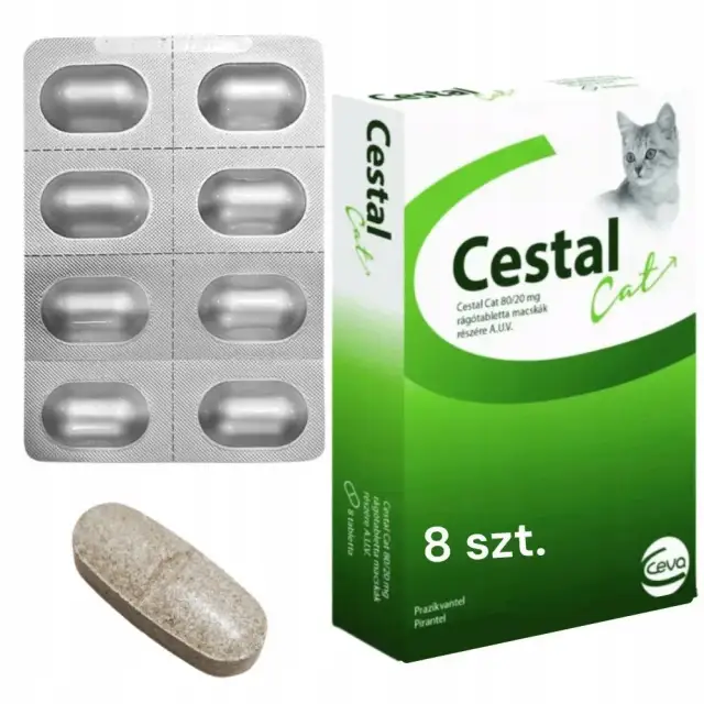 Jak działa tabletka na odrobaczanie kota i co warto wiedzieć?