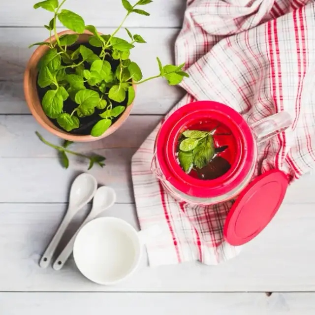 Jak zaparzać herbatę: unikaj najczęstszych błędów i ciesz się smakiem
