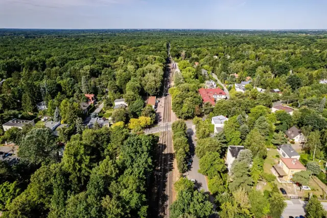 Najlepsze atrakcje w Podkowie Leśnej, które musisz zobaczyć