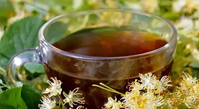 Napar z lipy na co? Odkryj jego niezwykłe właściwości zdrowotne