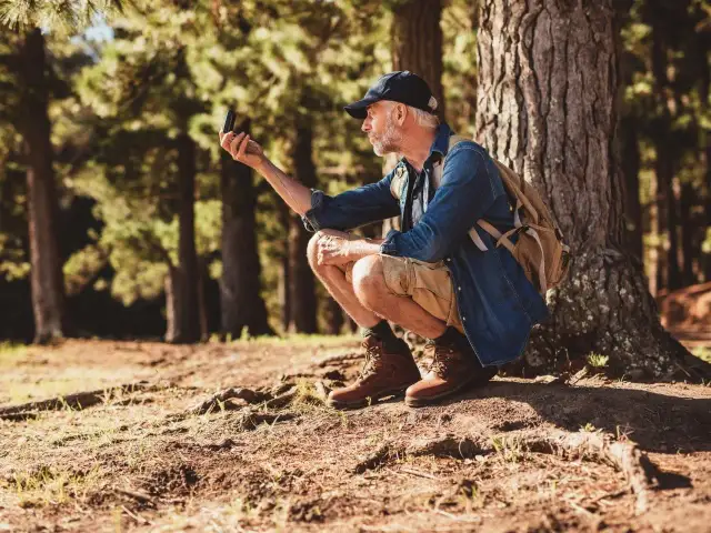 Jak w lesie trafić do samochodu i uniknąć zgubienia się