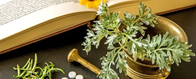 Homeopatia studia - klucz do sukcesu w medycynie alternatywnej