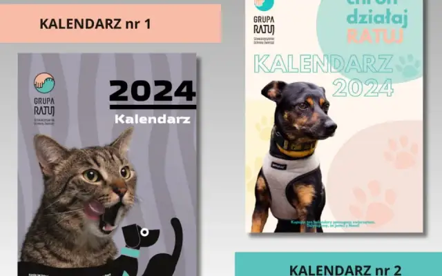 Jak utworzyć instytucję charytatywną od podstaw: kompletny poradnik 2025