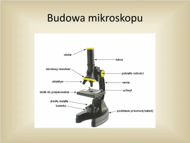Obiektyw mikroskopu: tajemnice precyzyjnego powiększania świata mikroskali
