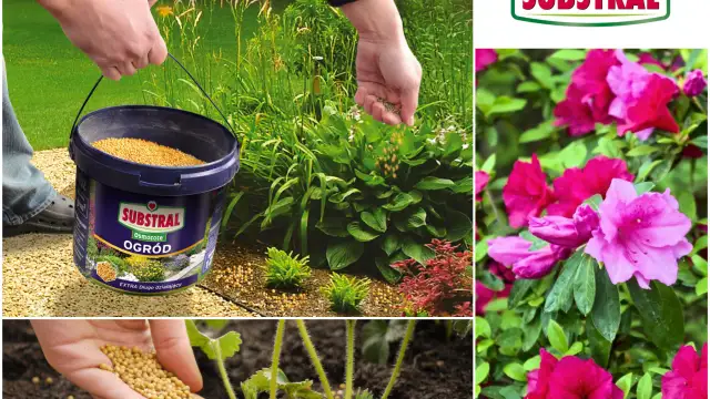 Nawóz Osmocote jak stosować - skuteczne metody i najczęstsze błędy