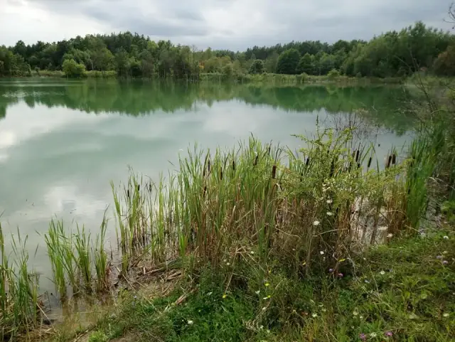 Łowisko Radziejowice – idealne miejsce na wędkarską przygodę