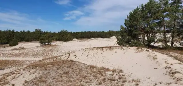 Atrakcje nad jeziorem Łebsko, które musisz zobaczyć w Słowińskim Parku