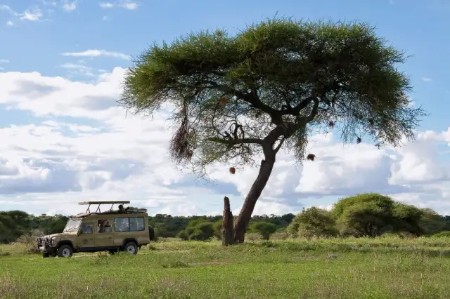 Tanzania gdzie leży? Odkryj jej położenie w Afryce Wschodniej