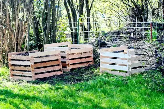 Jak zrobić kompost ze słomy i uzyskać cenny naturalny nawóz dla roślin