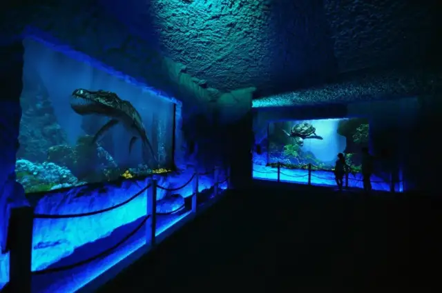 Prehistoryczne oceanarium: odkryj fascynujący świat morskich dinozaurów