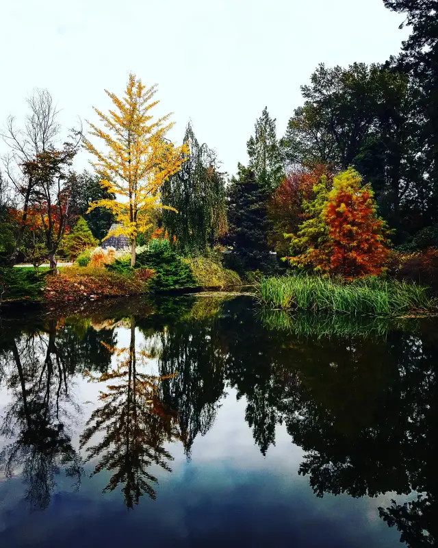 Wojsławice Arboretum: Magiczny czas zwiedzania i najpiękniejsze rośliny sezonu