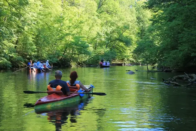 Spływ kajakowy Krutynia - odkryj piękno rzeki bez stresu i zgiełku