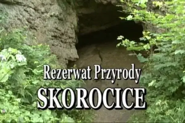 Rezerwat przyrody Skorocice: co warto wiedzieć przed zwiedzaniem i jak uniknąć błędów