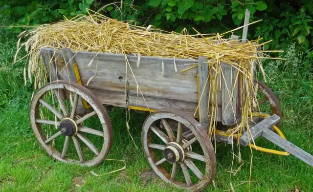 Co robił kołodziej w średniowieczu? Odkryj jego ważną rolę w społeczeństwie