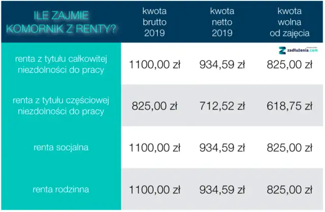 Ile wynosi renta dla osoby niepełnosprawnej? Sprawdź aktualne kwoty