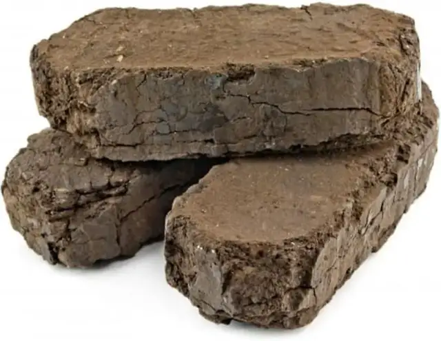 Gdzie kupić brykiet torfowy tanio i szybko – najlepsze miejsca i ceny