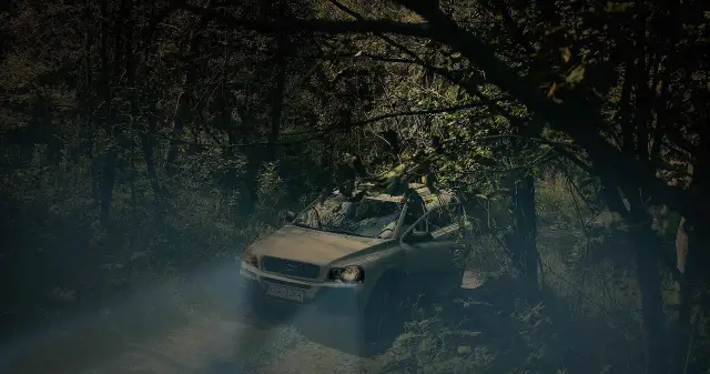 Jak znaleźć samochód w lesie - skuteczne sposoby na uniknięcie zagubienia