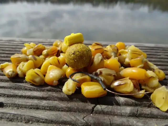 Wybierz najlepszą kukurydzę na ryby: porównanie 5 najpopularniejszych