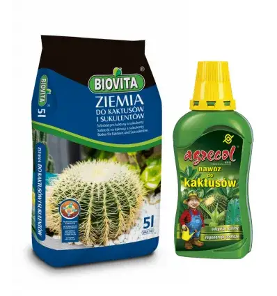 Jaki nawóz do kaktusów? Sekrety zdrowych roślin pustynnych