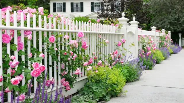 Jakie rośliny przy ogrodzeniu zapewnią piękno i prywatność?