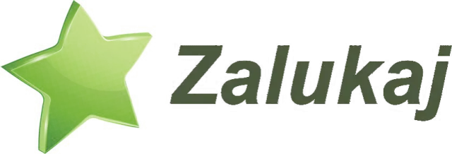 Filmy edukacyjne online – gdzie szukać wartościowych treści na Zalukaj?