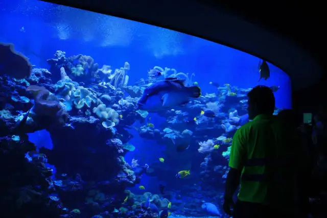 Oceanarium Majorka - Niezapomniane atrakcje i tajemnice oceanu