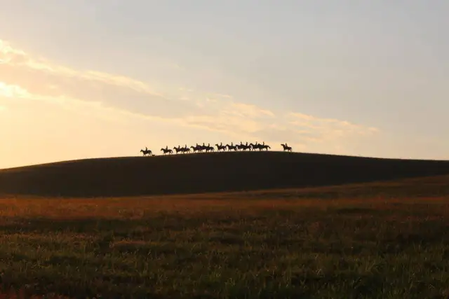 Stadnina Runowo: Najlepsze jazdy konne i treningi jeździeckie