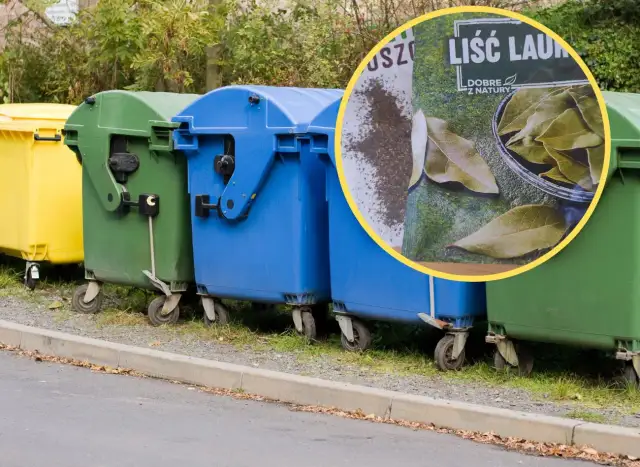 Gdzie wyrzucić torebki po przyprawach? Praktyczne zasady segregacji śmieci