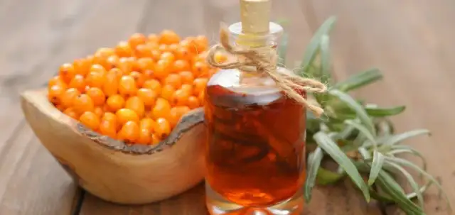 Rokitnik nalewka jak zrobić - prosty przepis na wyjątkowy smak