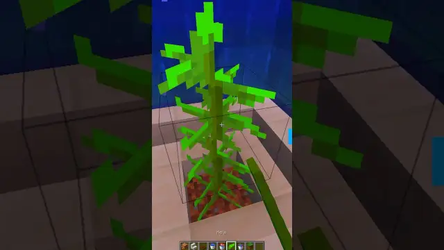Jak zrobić akwarium w Minecraft – proste kroki i kreatywne pomysły