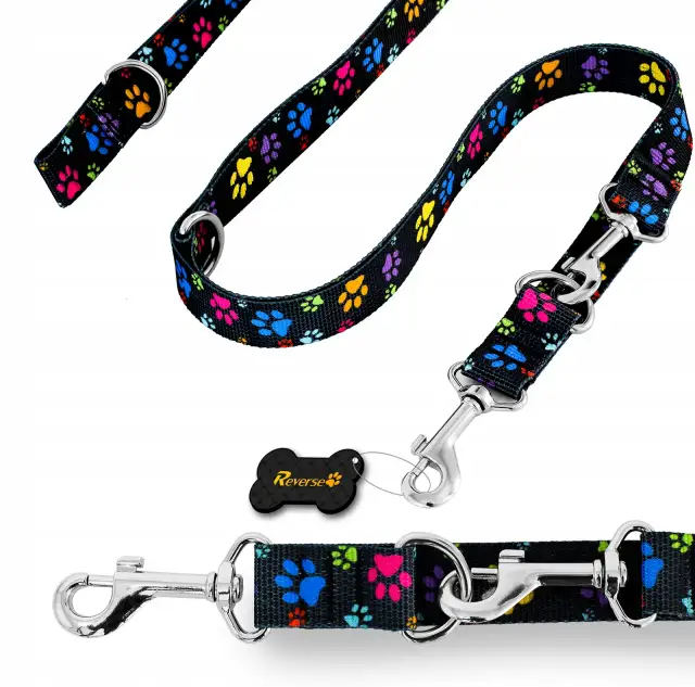 Ile kosztuje smycz dla psa? Ceny, które zaskoczą każdego właściciela