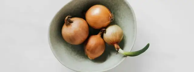 Jak skutecznie złagodzić ostry smak cebuli w sałatce – proste triki