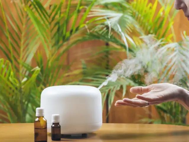 Jakie olejki do nawilżacza powietrza poprawią twoje samopoczucie?