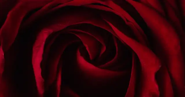 Wiersz dla pary młodej: Jak wzruszyć nowożeńców poezją?